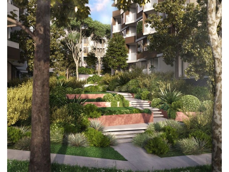 B109/8 Birdwood Ave, Lane Cove NSW 2066