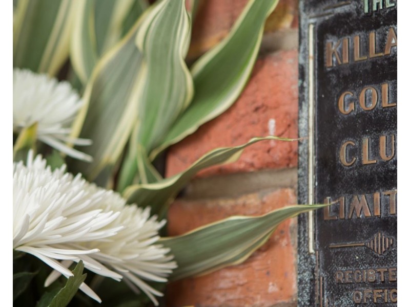 42 Fiddens Wharf Road, Killara NSW 2071