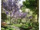 C205/80 Waterloo Rd, Macquarie Park NSW 2113