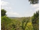 Granny Flat/63 Wentworth Ave, Killara NSW 2071
