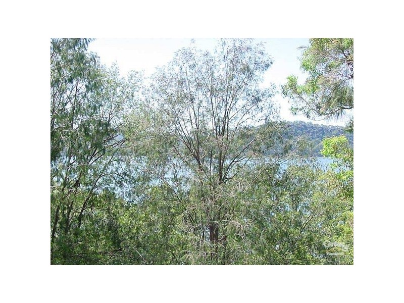 Lot 4 Foodys Estate, Bar Point NSW 2083