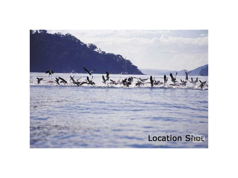 Lot 4 Foodys Estate, Bar Point NSW 2083