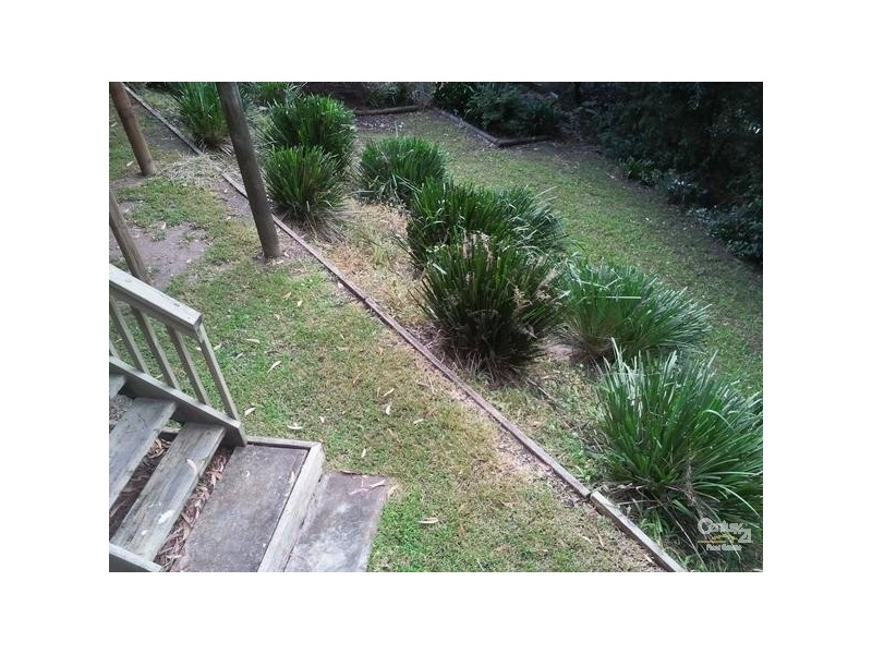 27 Gill Avenue, Avoca Beach NSW 2251