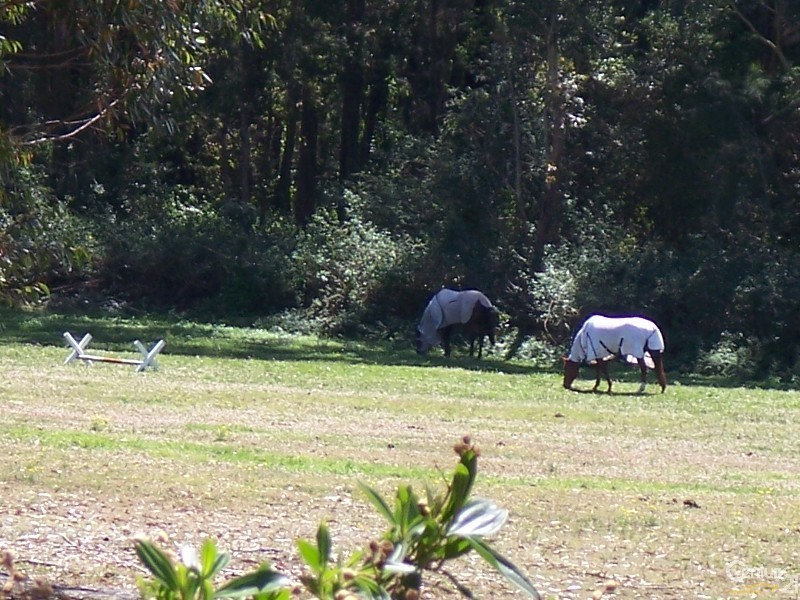 Kincumber NSW 2251