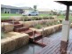 Bolwarra Heights NSW 2320