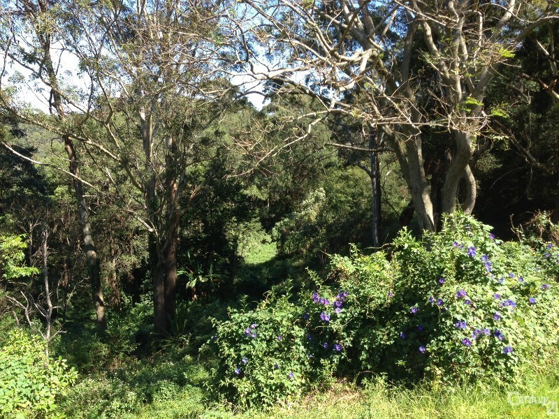 520 The Entrance Road, Erina Heights NSW 2260