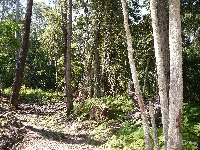 63-69 Elvys Avenue, Yattalunga NSW 2251