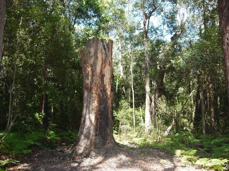 63-69 Elvys Avenue, Yattalunga NSW 2251