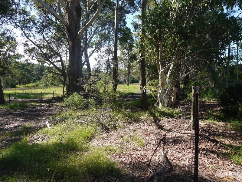 2 James Campbell Place, Kincumber NSW 2251