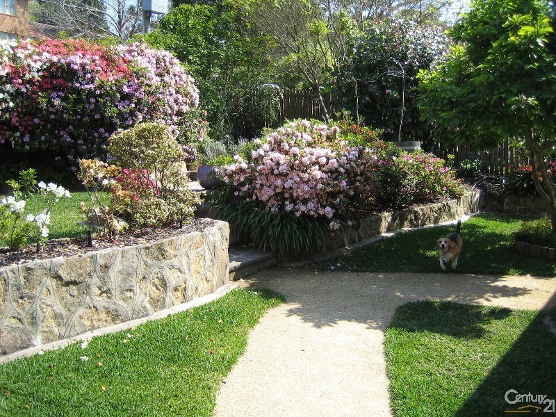 10 Maxwell Street, Turramurra NSW 2074