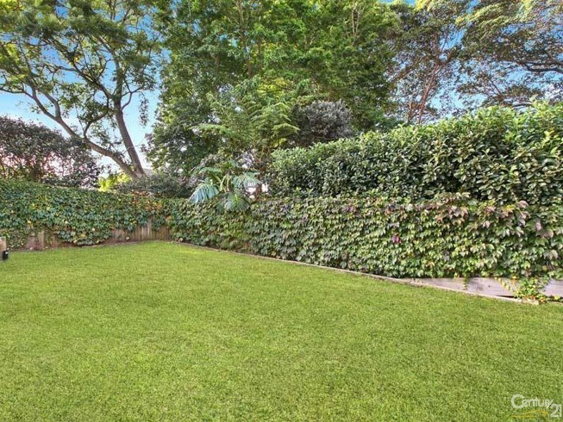 52 Earl Street, Roseville NSW 2069