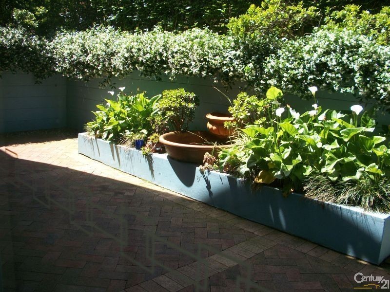 2/5-7 Larkin Street, Roseville NSW 2069