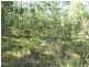552 Limeburners Creek Road, Clarence Town NSW 2321