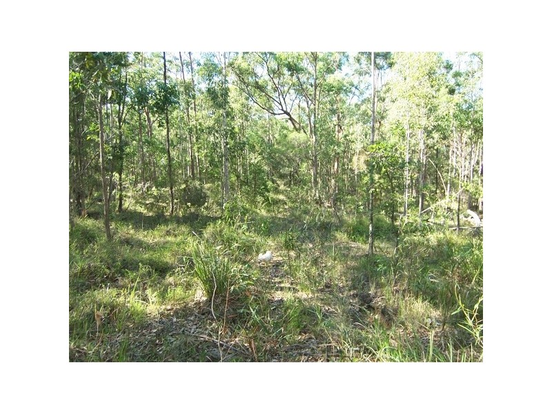 552 Limeburners Creek Road, Clarence Town NSW 2321