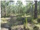 552 Limeburners Creek Road, Clarence Town NSW 2321