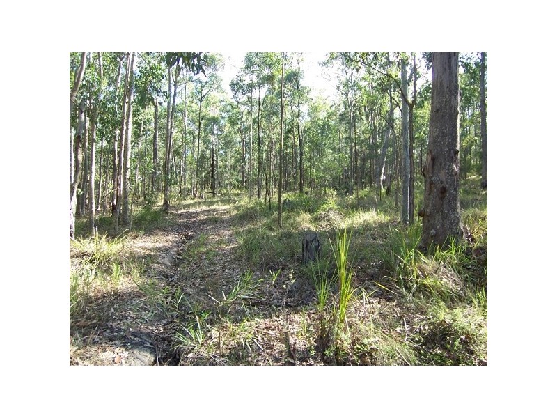 552 Limeburners Creek Road, Clarence Town NSW 2321