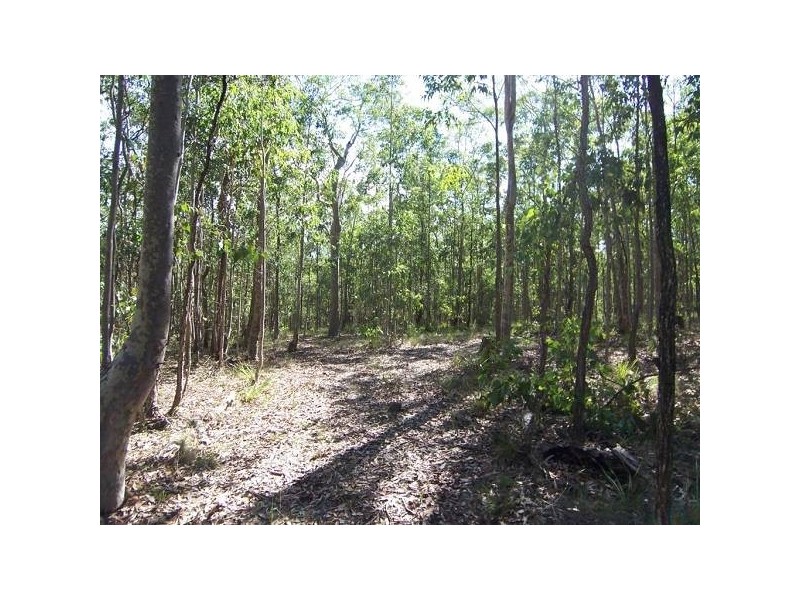 552 Limeburners Creek Road, Clarence Town NSW 2321