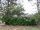 26 Evelyn Crescent, Thornton NSW 2322