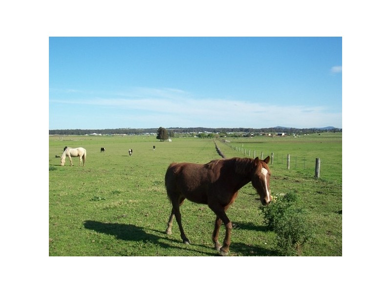 Maitland NSW 2320