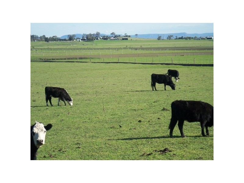 Maitland NSW 2320