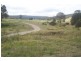 Butterwick NSW 2321