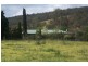 Butterwick NSW 2321