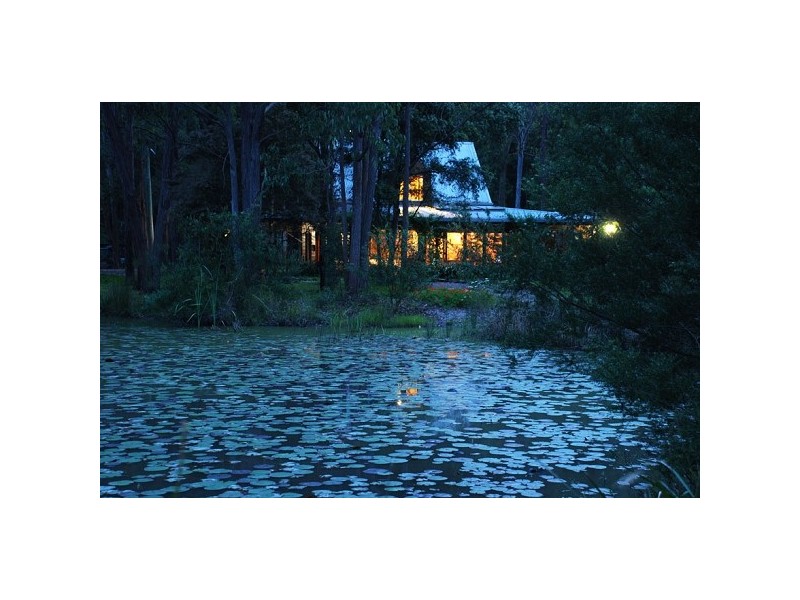 251 Browns Road, Black Hill NSW 2322