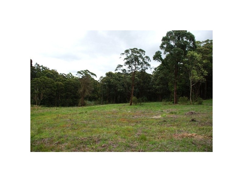251 Browns Road, Black Hill NSW 2322
