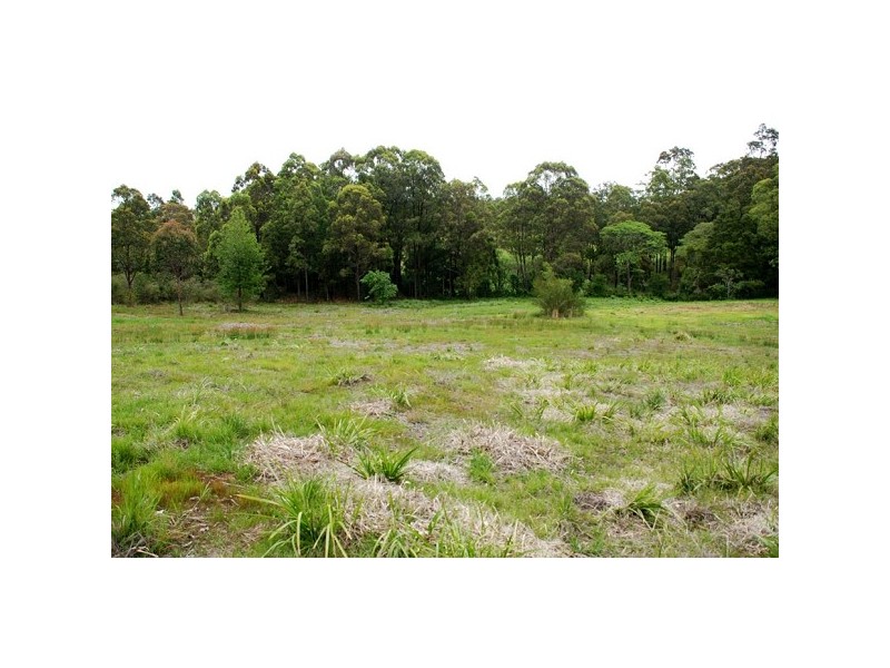 251 Browns Road, Black Hill NSW 2322