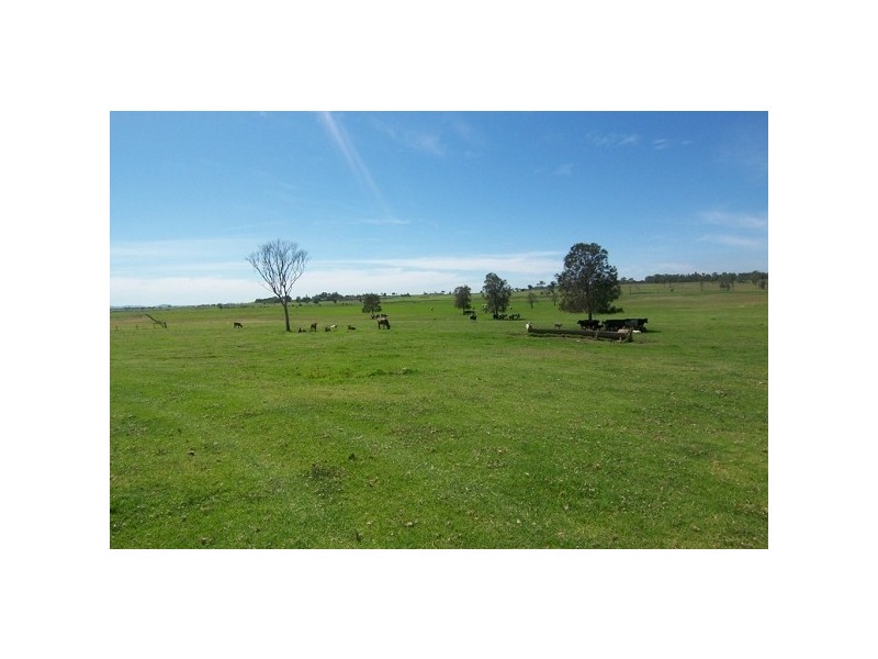 62 Butchers Lane, Morpeth NSW 2321