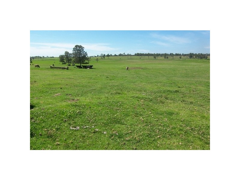 62 Butchers Lane, Morpeth NSW 2321