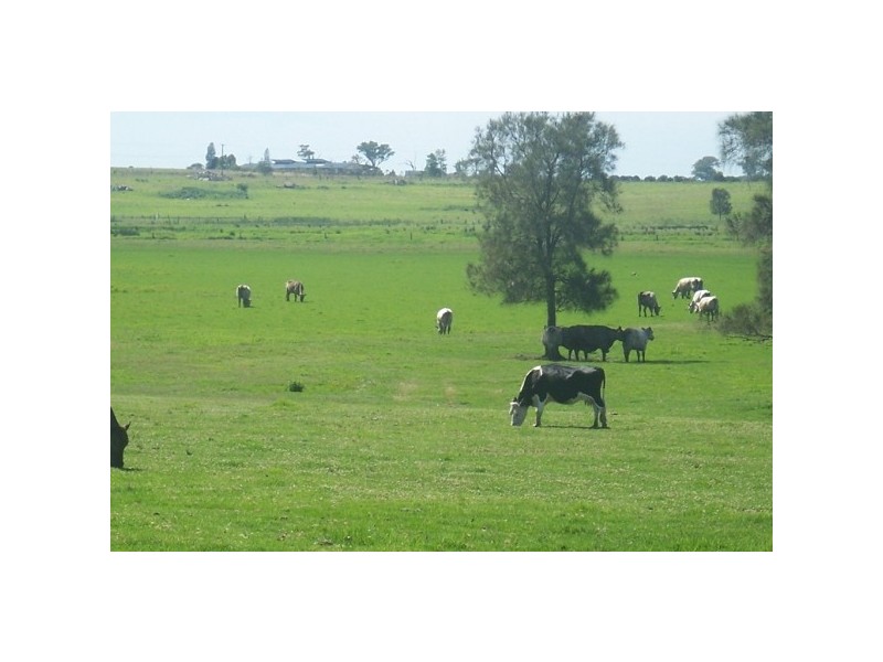 62 Butchers Lane, Morpeth NSW 2321