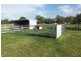 6 Woodville Street, Duns Creek NSW 2321