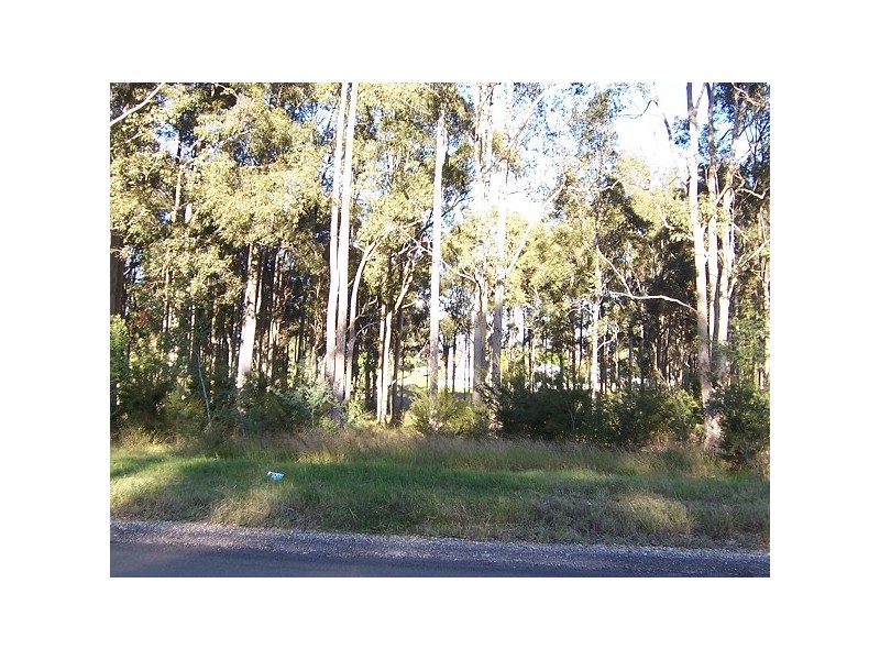 24 Rothbury Street, North Rothbury NSW 2335