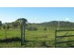 97 Knockfin Road, Luskintyre NSW 2321