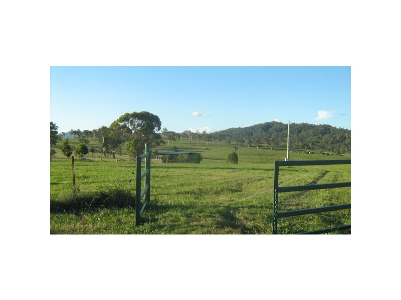 97 Knockfin Road, Luskintyre NSW 2321