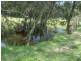 Bishops Bridge NSW 2326