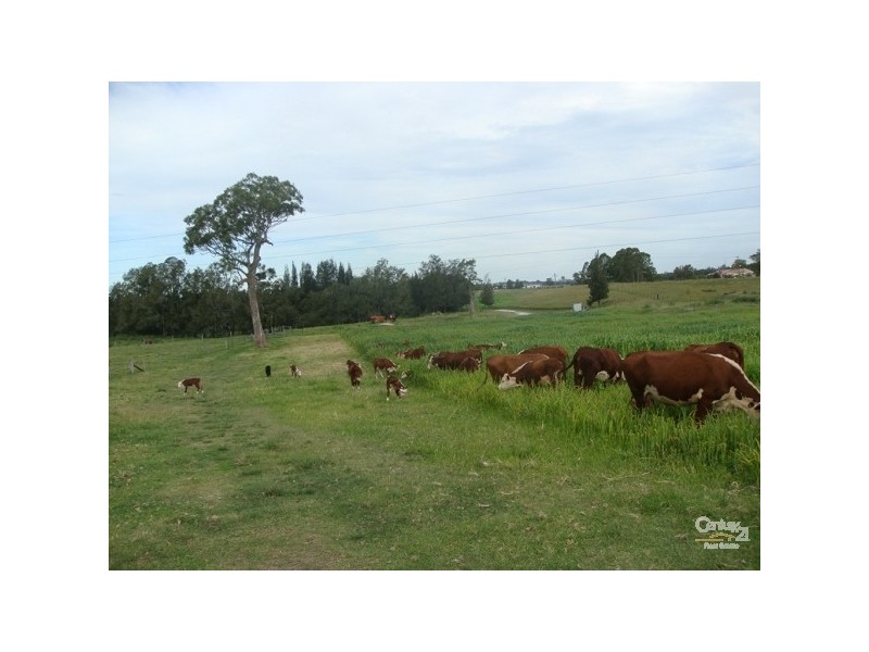 677 Wollombi Road, Bishops Bridge NSW 2326