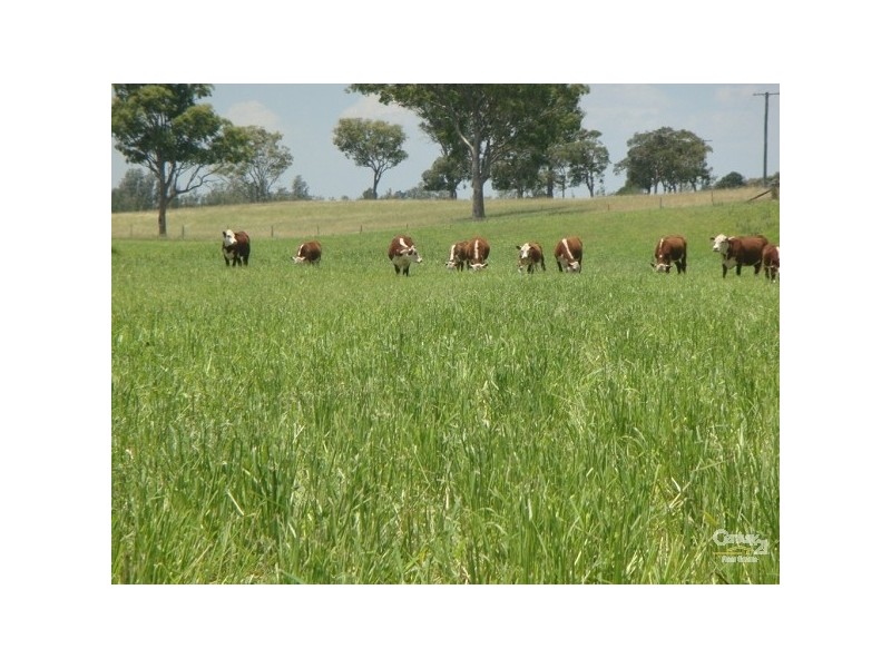 677 Wollombi Road, Bishops Bridge NSW 2326