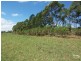 Lot 1 Creekbank Road, Louth Park NSW 2320