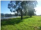 Lot 1 Newline Road, Eagleton NSW 2324