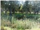 Lot 1 Newline Road, Eagleton NSW 2324