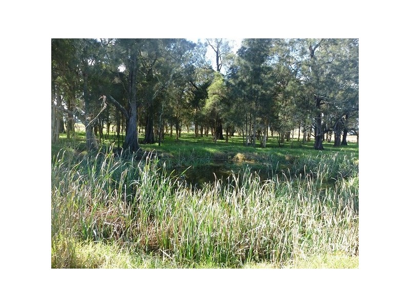 Lot 1 Newline Road, Eagleton NSW 2324