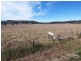 Lot 2 Newline Road, Eagleton NSW 2324