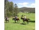 45 Stapleton Road, Wollombi NSW 2325
