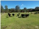 45 Stapleton Road, Wollombi NSW 2325