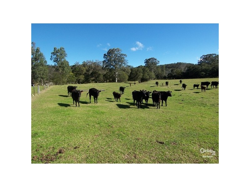 45 Stapleton Road, Wollombi NSW 2325