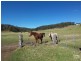 45 Stapleton Road, Wollombi NSW 2325