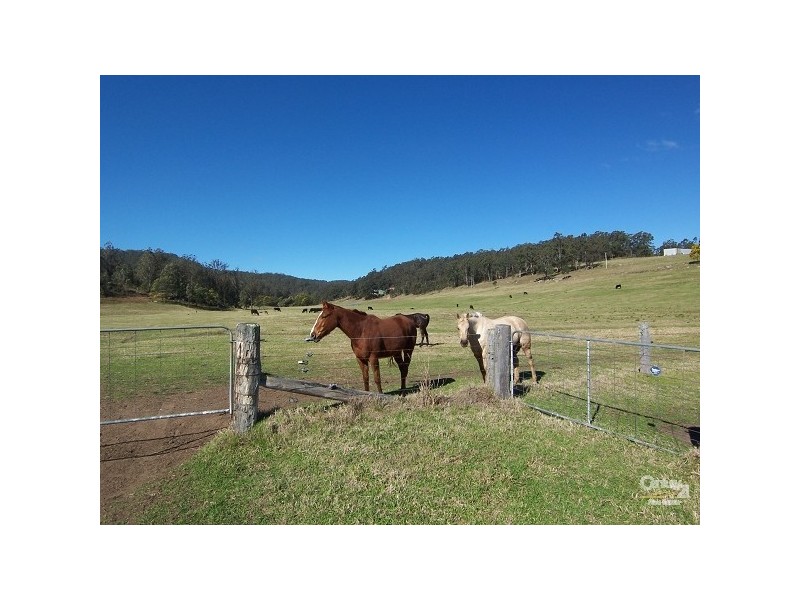 45 Stapleton Road, Wollombi NSW 2325
