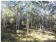 45 Stapleton Road, Wollombi NSW 2325